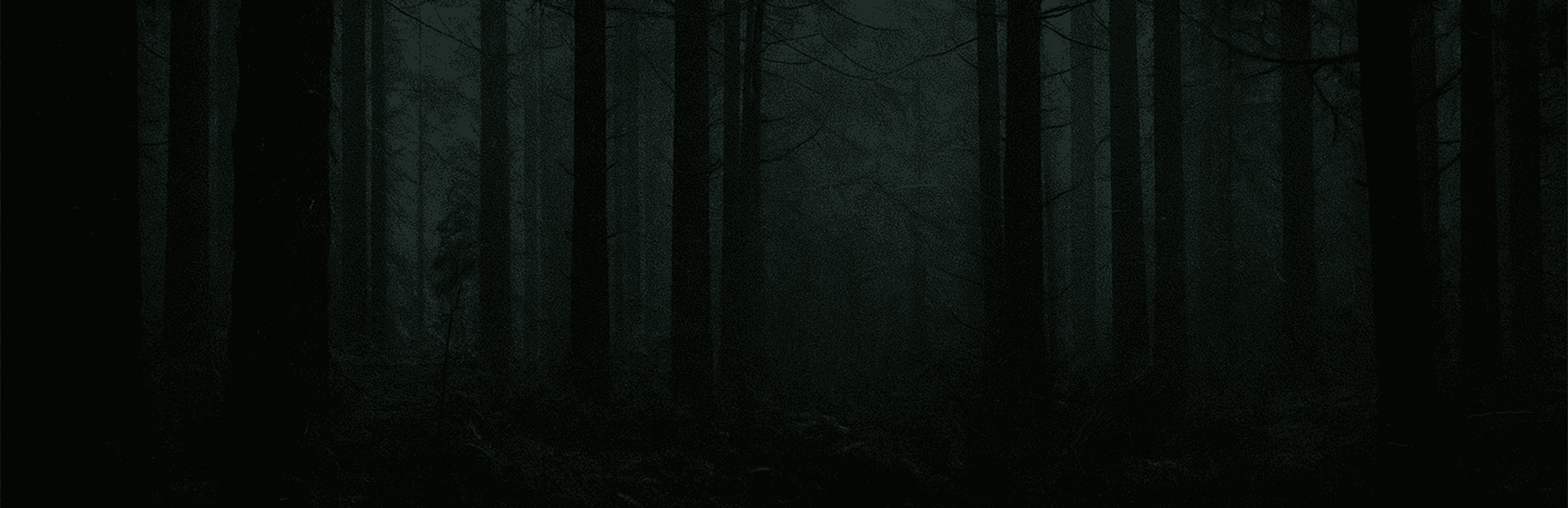 Development Restarts